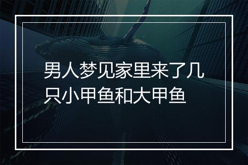 男人梦见家里来了几只小甲鱼和大甲鱼