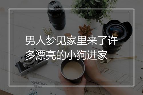 男人梦见家里来了许多漂亮的小狗进家