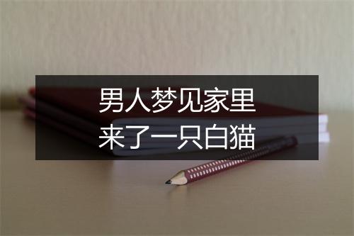 男人梦见家里来了一只白猫