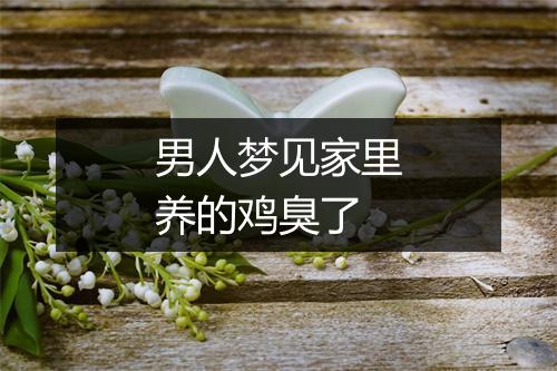 男人梦见家里养的鸡臭了