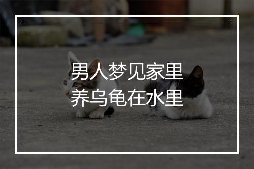 男人梦见家里养乌龟在水里