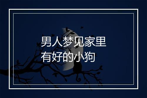 男人梦见家里有好的小狗