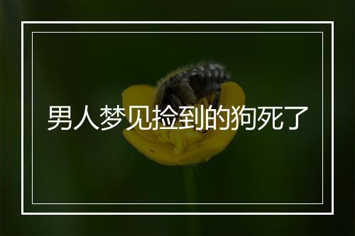 男人梦见捡到的狗死了