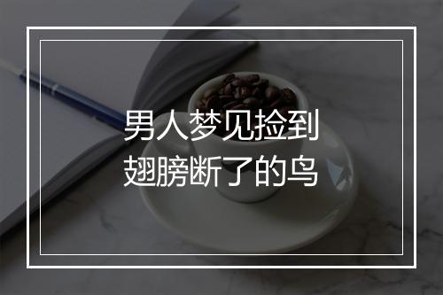 男人梦见捡到翅膀断了的鸟