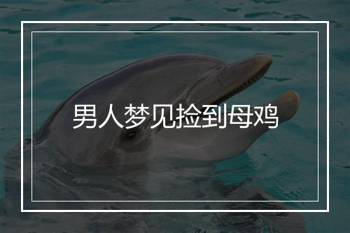 男人梦见捡到母鸡