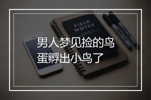 男人梦见捡的鸟蛋孵出小鸟了