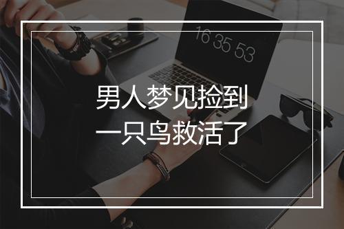 男人梦见捡到一只鸟救活了