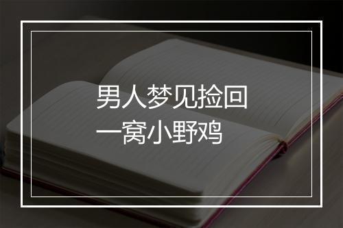 男人梦见捡回一窝小野鸡