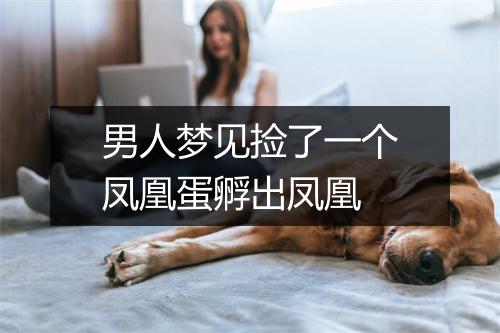 男人梦见捡了一个凤凰蛋孵出凤凰