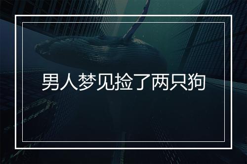 男人梦见捡了两只狗