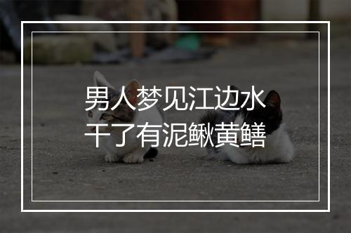 男人梦见江边水干了有泥鳅黄鳝