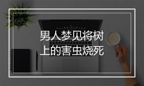 男人梦见将树上的害虫烧死