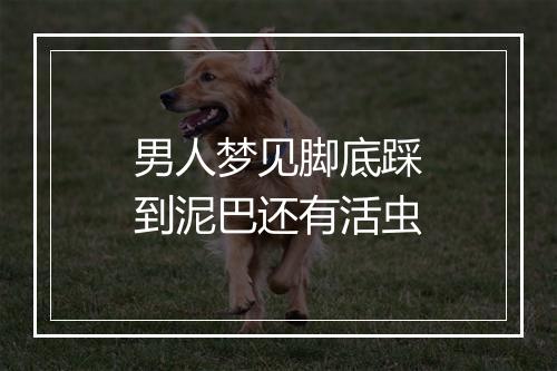 男人梦见脚底踩到泥巴还有活虫