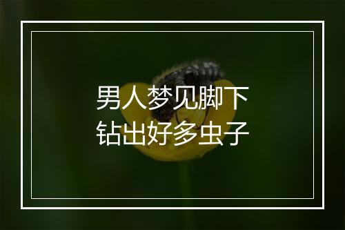 男人梦见脚下钻出好多虫子