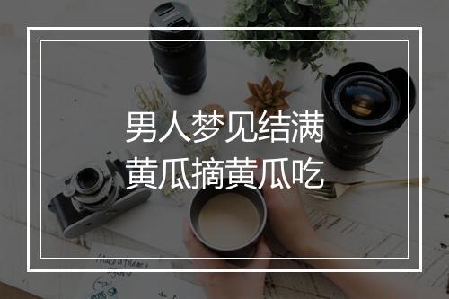 男人梦见结满黄瓜摘黄瓜吃