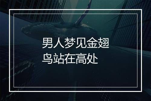 男人梦见金翅鸟站在高处