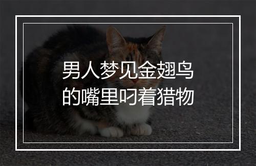 男人梦见金翅鸟的嘴里叼着猎物