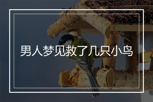 男人梦见救了几只小鸟