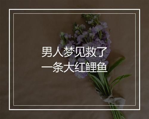 男人梦见救了一条大红鲤鱼