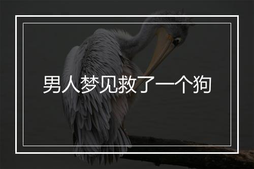 男人梦见救了一个狗