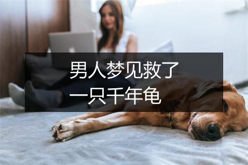 男人梦见救了一只千年龟