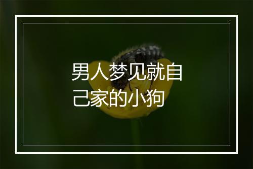 男人梦见就自己家的小狗