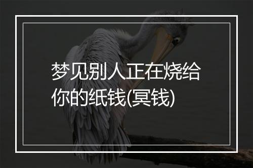 梦见别人正在烧给你的纸钱(冥钱)