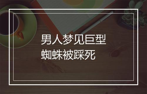 男人梦见巨型蜘蛛被踩死