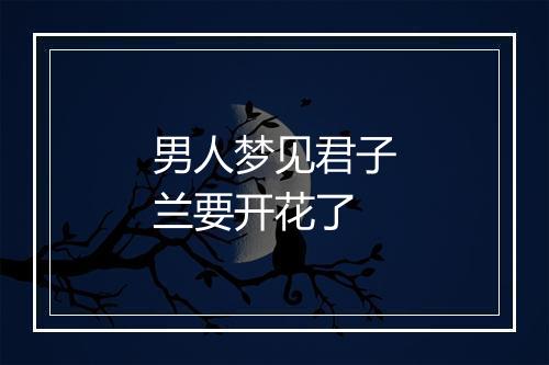 男人梦见君子兰要开花了