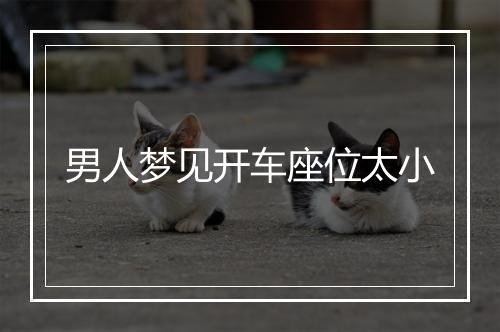 男人梦见开车座位太小