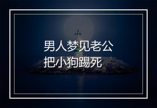 男人梦见老公把小狗踢死