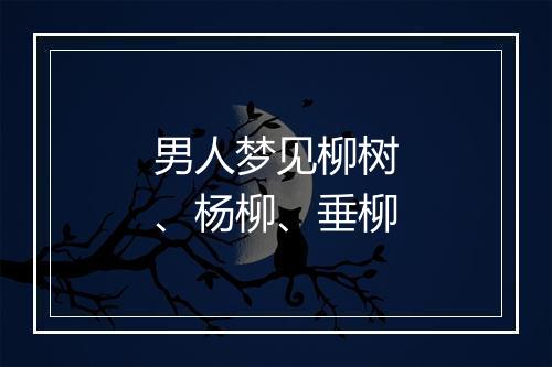 男人梦见柳树、杨柳、垂柳