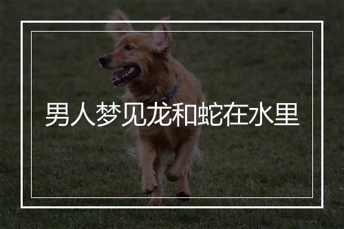 男人梦见龙和蛇在水里