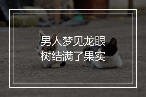 男人梦见龙眼树结满了果实