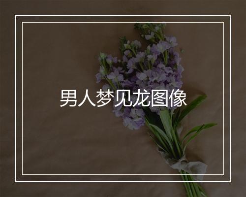 男人梦见龙图像