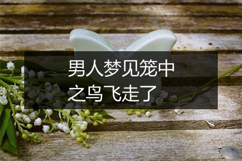 男人梦见笼中之鸟飞走了