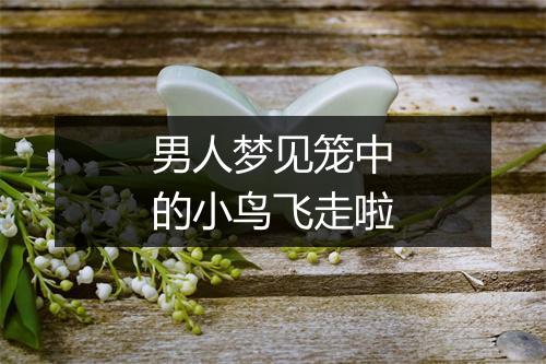 男人梦见笼中的小鸟飞走啦