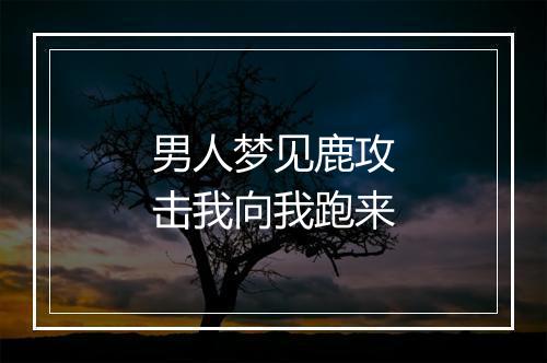 男人梦见鹿攻击我向我跑来