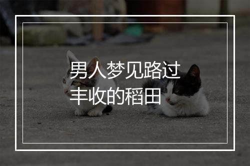 男人梦见路过丰收的稻田