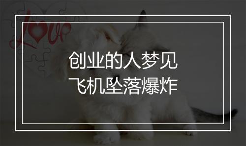 创业的人梦见飞机坠落爆炸