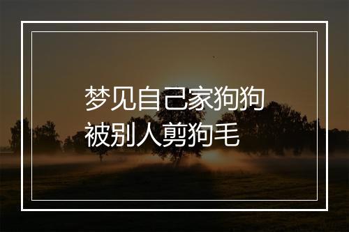 梦见自己家狗狗被别人剪狗毛