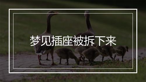 梦见插座被拆下来