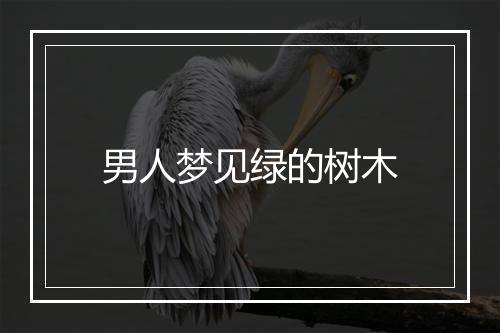 男人梦见绿的树木