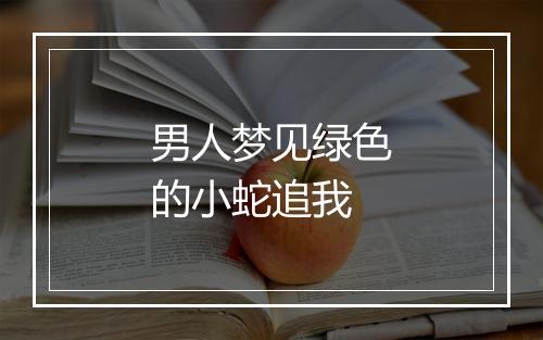 男人梦见绿色的小蛇追我