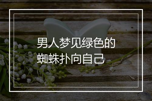 男人梦见绿色的蜘蛛扑向自己