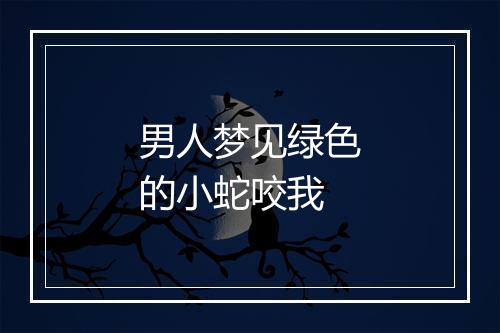 男人梦见绿色的小蛇咬我