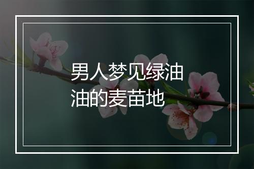 男人梦见绿油油的麦苗地