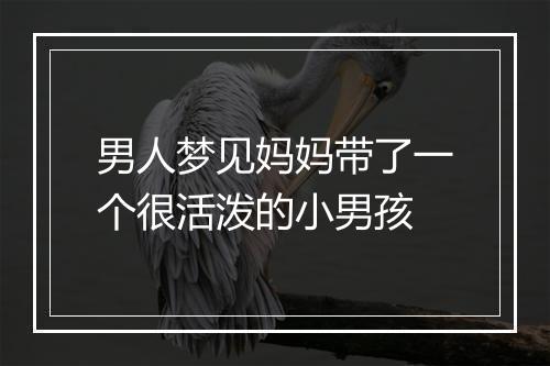 男人梦见妈妈带了一个很活泼的小男孩