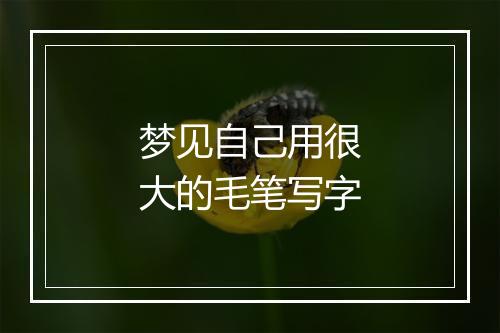 梦见自己用很大的毛笔写字