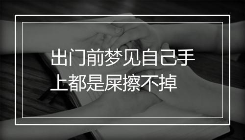 出门前梦见自己手上都是屎擦不掉